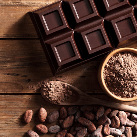 Chocolate-Cocoa-'Cacao'-Plant-3-450w
